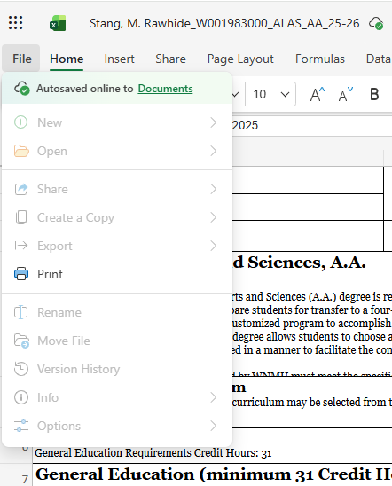 Screen showing file saving in Excel.